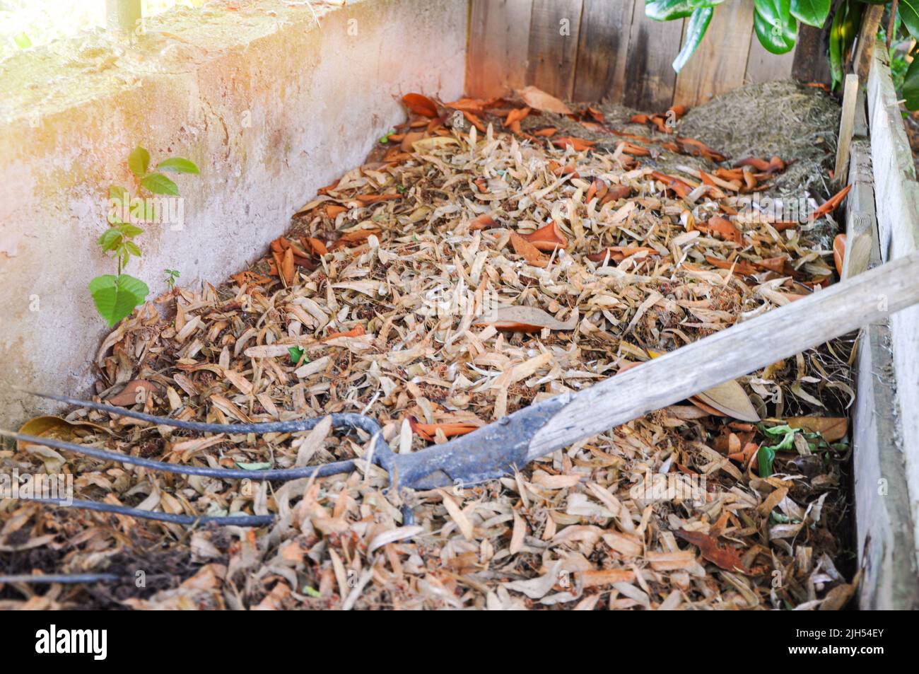 Kompostierung von geschnittenem Gras und heruntergefallenen Blättern zur Bereicherung des Bodens. Laubmulch. Organischer Dünger Stockfoto