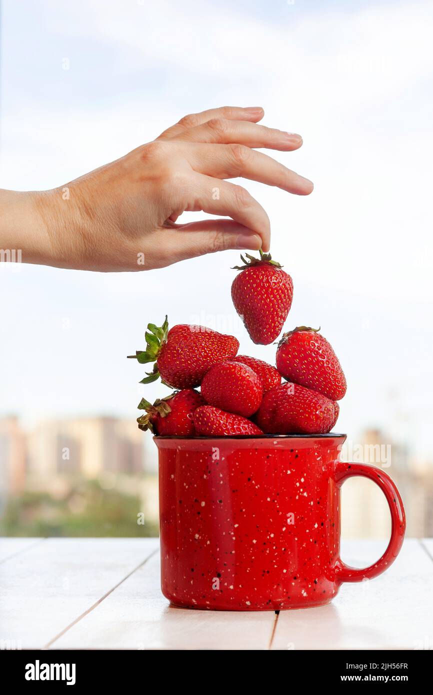 Die Hand der Frau nimmt Erdbeeren aus einer roten Tasse mit einer Menge Erdbeeren, die auf einem hellen Holzhintergrund stehen. Stockfoto