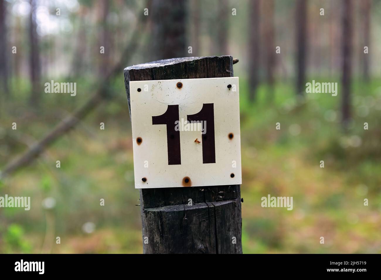 Holzmast mit der Nummer 11 in einem Wald in Finnland Stockfoto