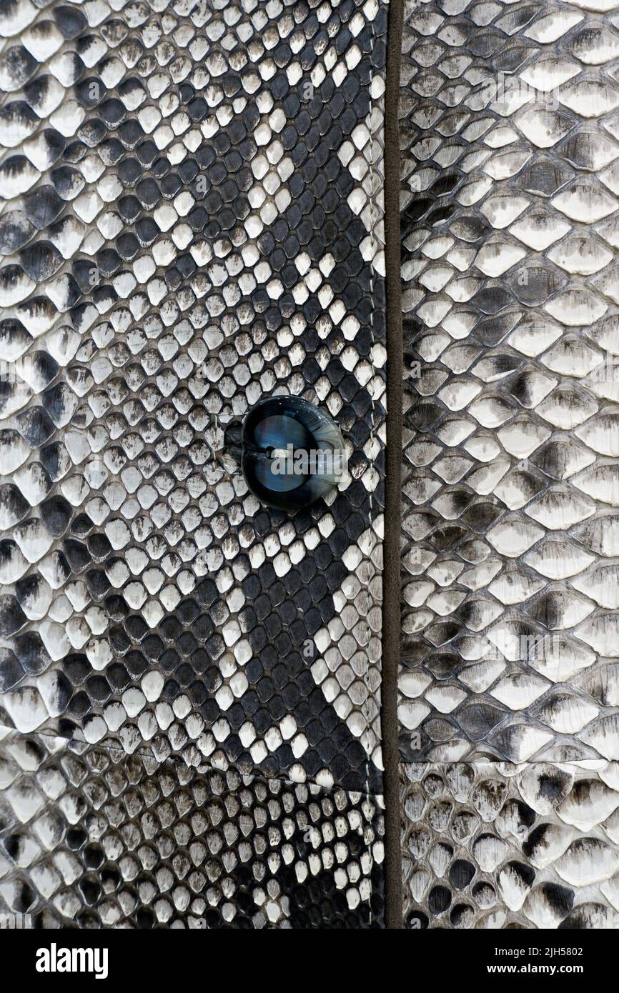 Detail eines eleganten handgefertigten weißen Python-Mantels, der in einem Luxusgeschäft in der High Street zu sehen ist. Shopping in Rom, Italien, Europa, EU Stockfoto