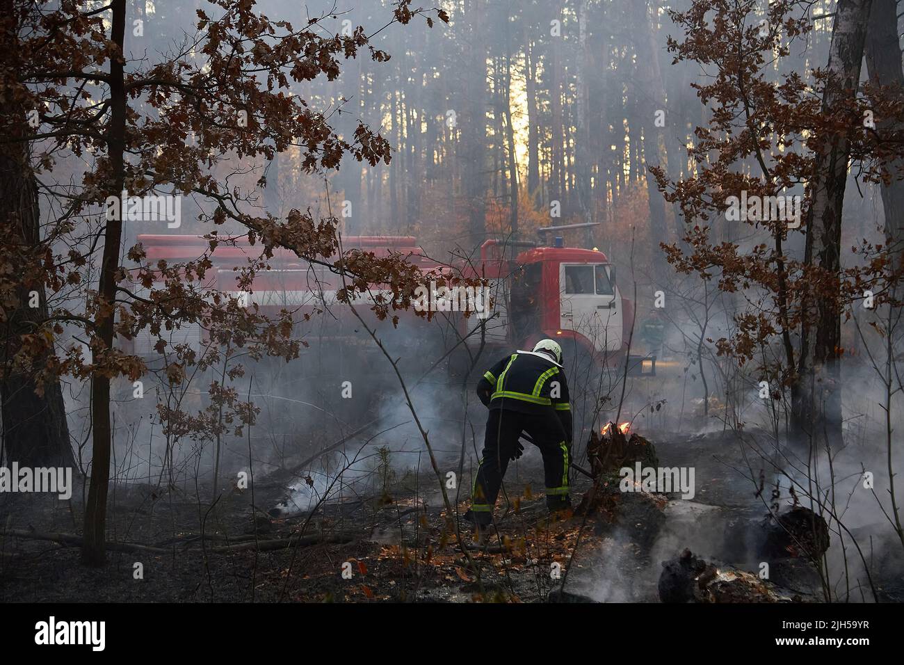 Löschkräfte sprühen Wasser auf ein Lauffeuer. Feuerwehrmann, der hart daran arbeitet, die Buschbrände zu löschen Stockfoto