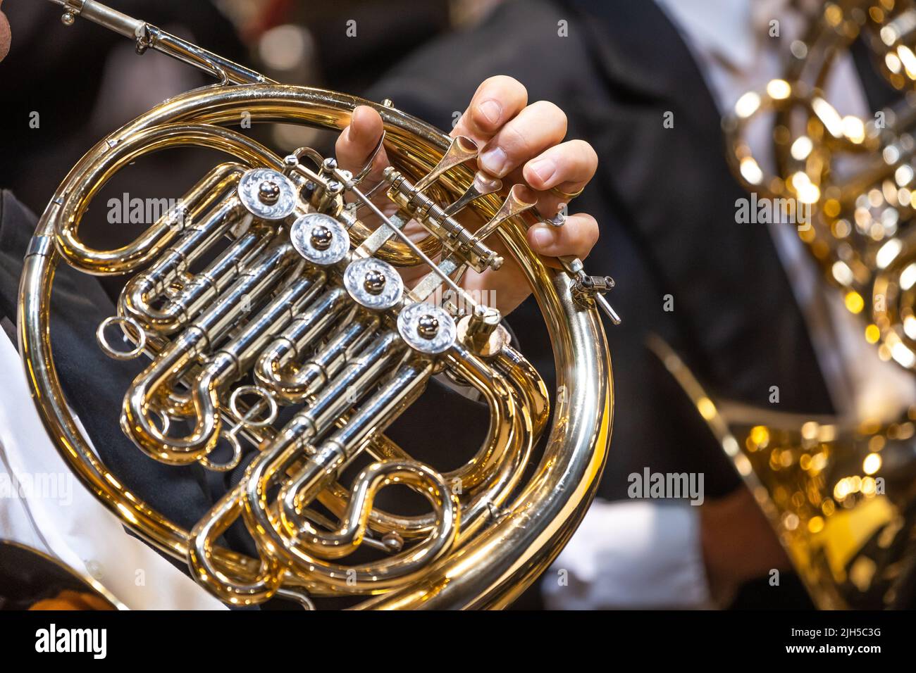 Philharmonisches Orchester spielt auf dem französischen Horn, Aufführungskonzert, klassisches Musikkonzept Stockfoto