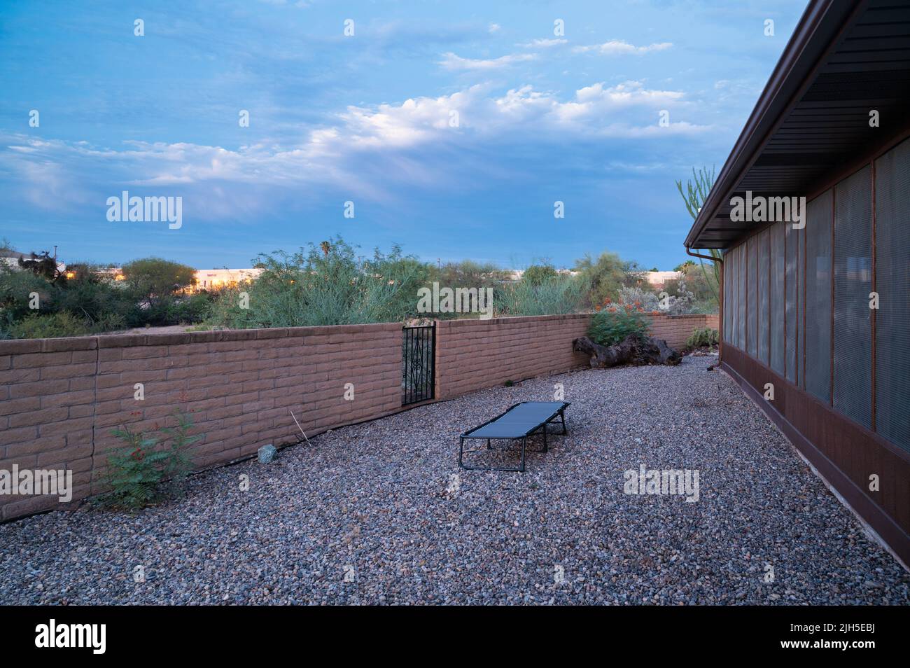 Xeriscape Pflanzen, Wasser Weise Pflanzen, Landschaft Stockfoto