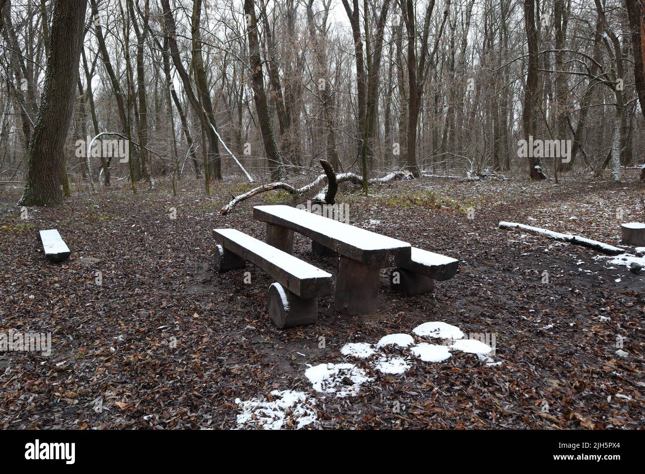 Ruhestätte im Winterwald Stockfoto