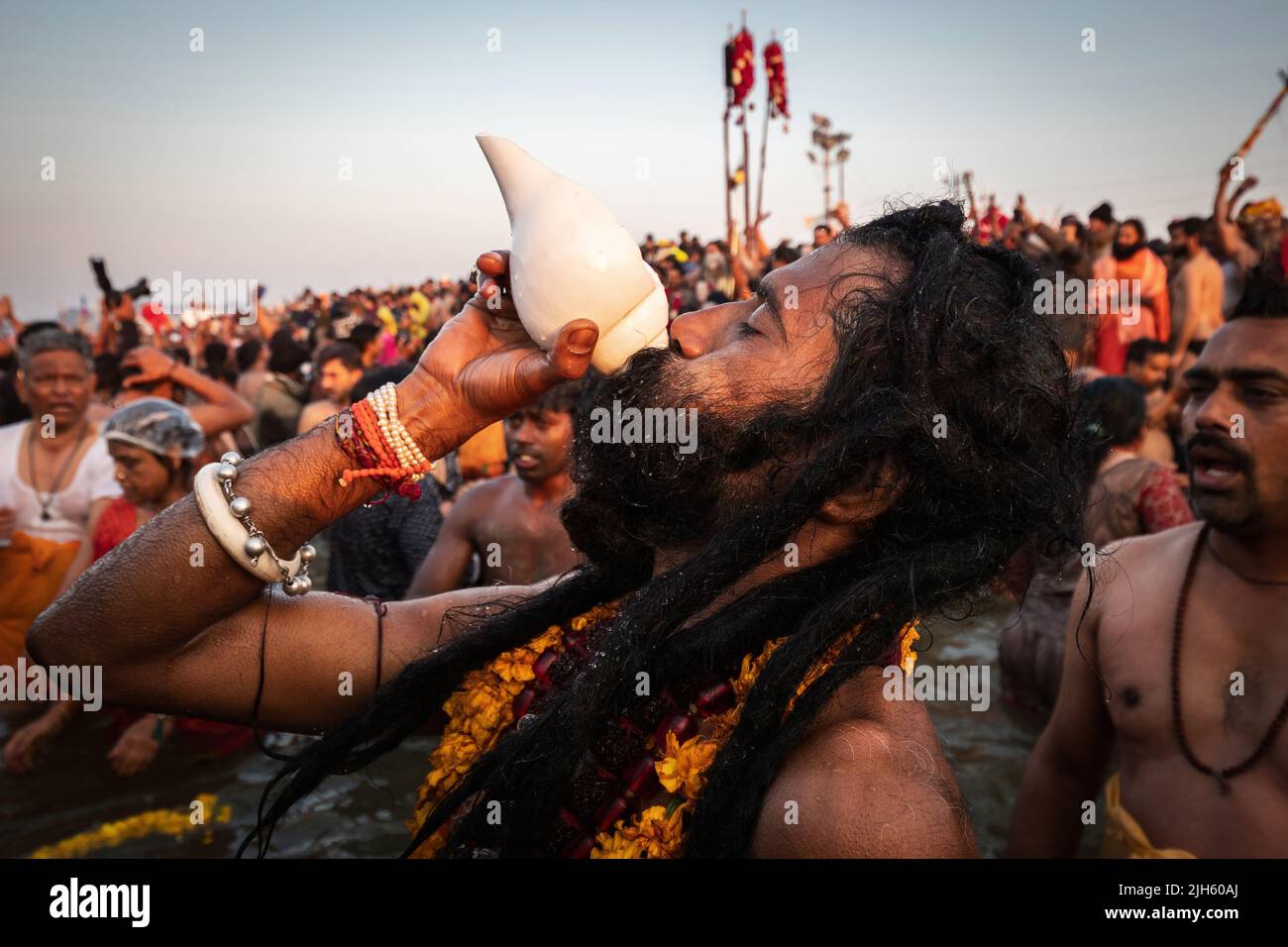 Naga Sadhu (indischer Heiliger Mann) bläst in eine Muschelschale und badet im heiligen Ganges-Fluss beim Kumbh Mela Festival in Allahabad (Prayagraj), Indien. Stockfoto