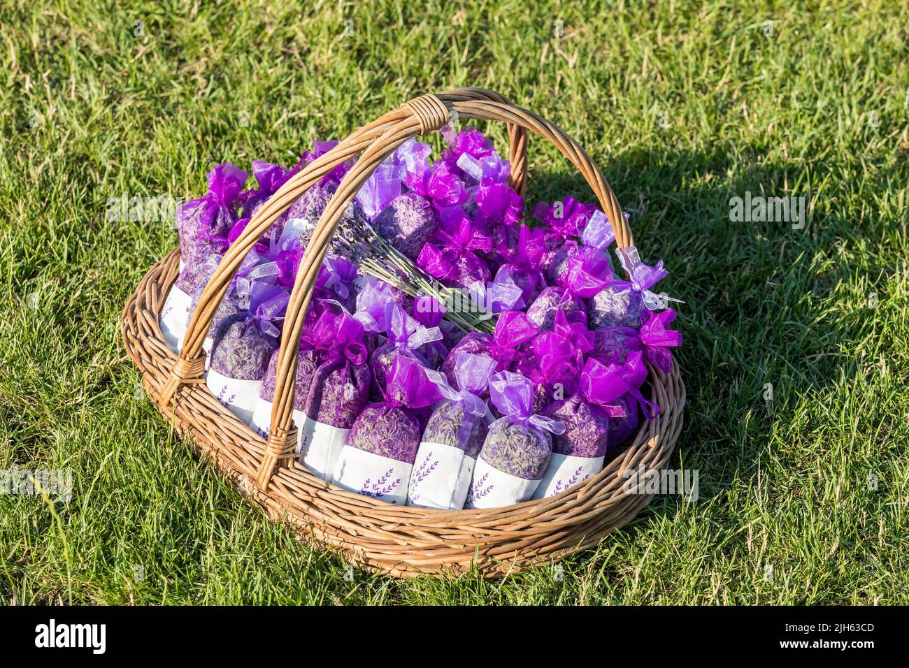 Lavendelknospen trockene Blumen Beutel Duftbeutel, lila Organza Beutel mit natürlichen getrockneten Lavendelblüten in einem Korb auf einer Wiese. Aromatherapie. Stockfoto
