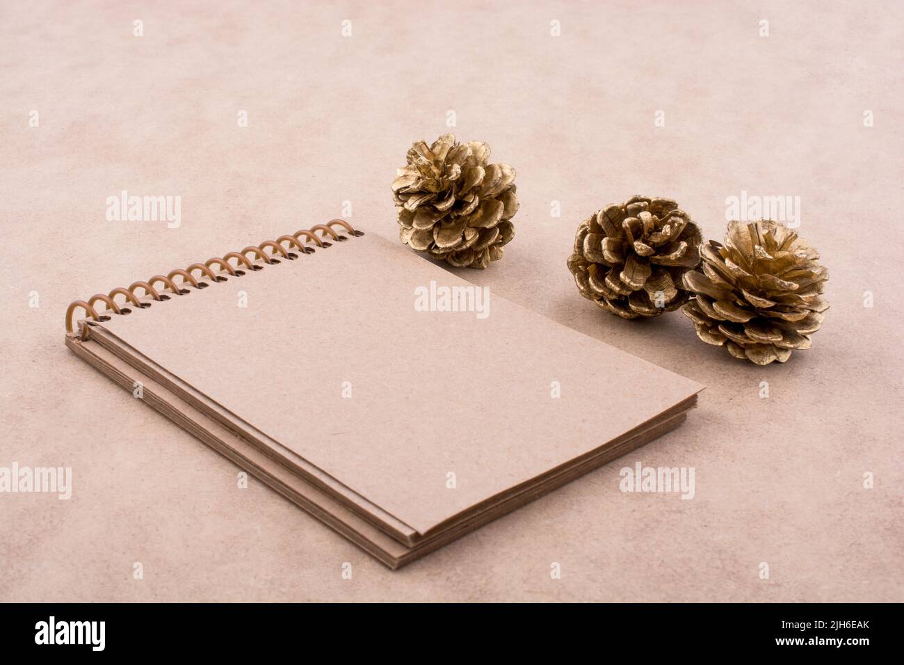 Tannenzapfen und ein Notizbuch auf braunem Hintergrund Stockfoto