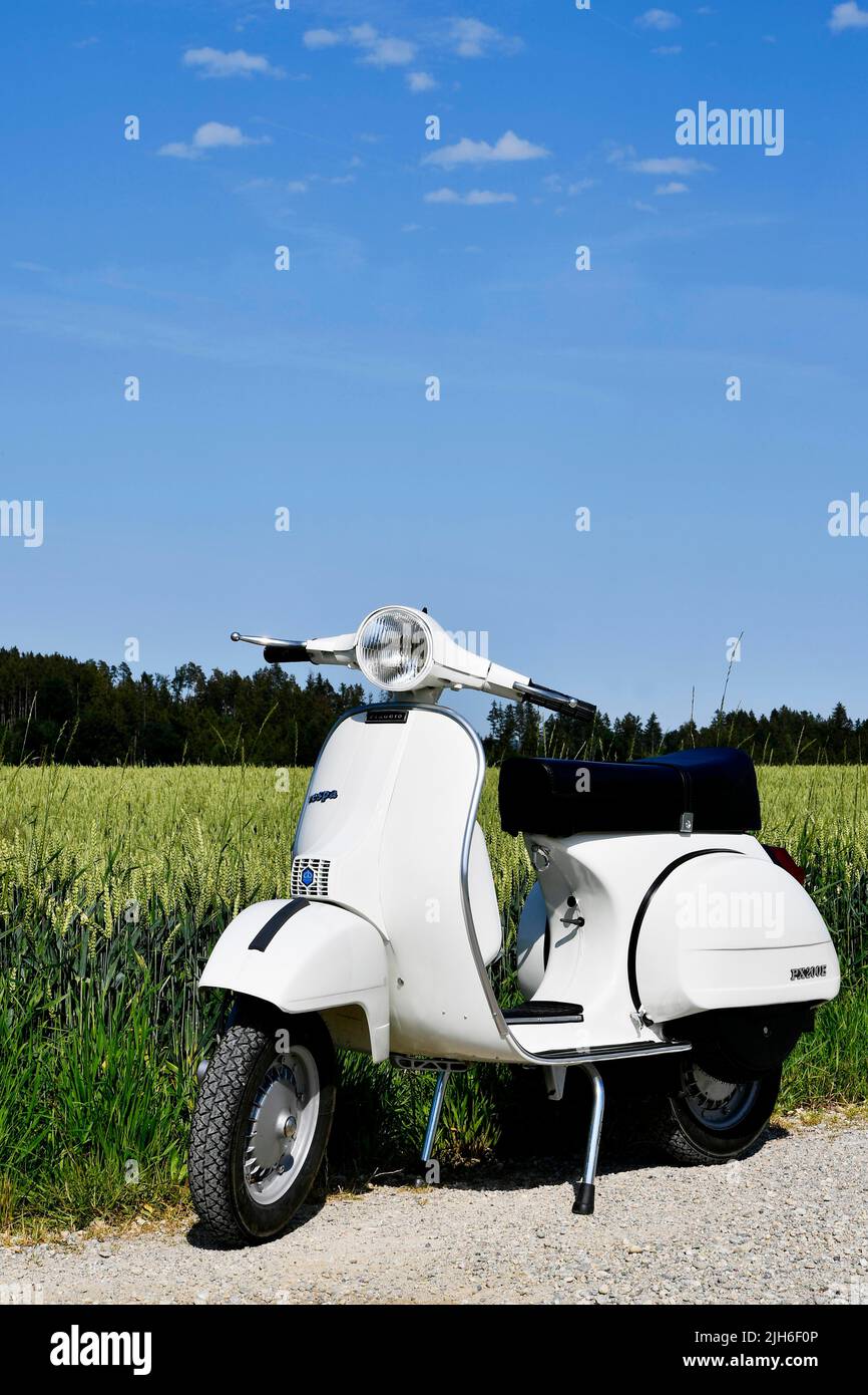 Vespa PX 200 E, P 200 X E, VSX 1T, VSX1T, 200ccm, Baujahr, Serie 1979, 1980, 1981, 1982, 1., Ohne Blinker, ohne Richtung Stockfoto