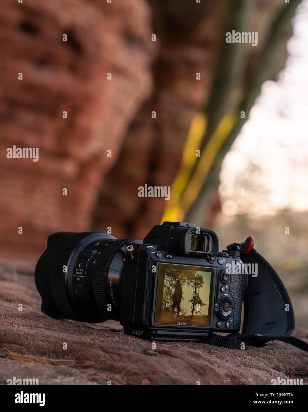 Detailaufnahme einer A7R3-Kamera von Sony Stockfoto