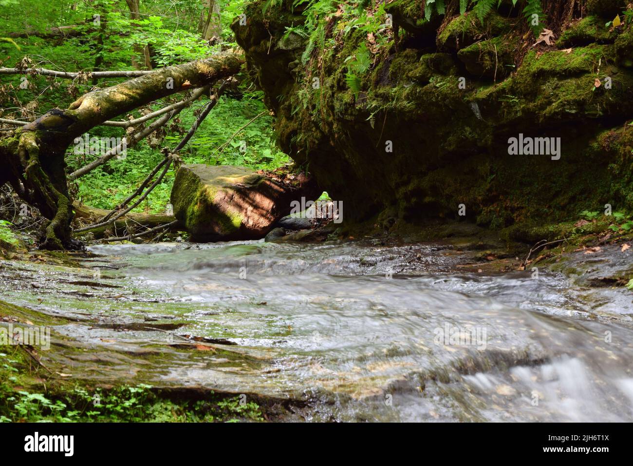 Parfrey's Glen Wasserfall in der Nähe von Devil's Lake State Park, Wisconsin, USA. Stockfoto