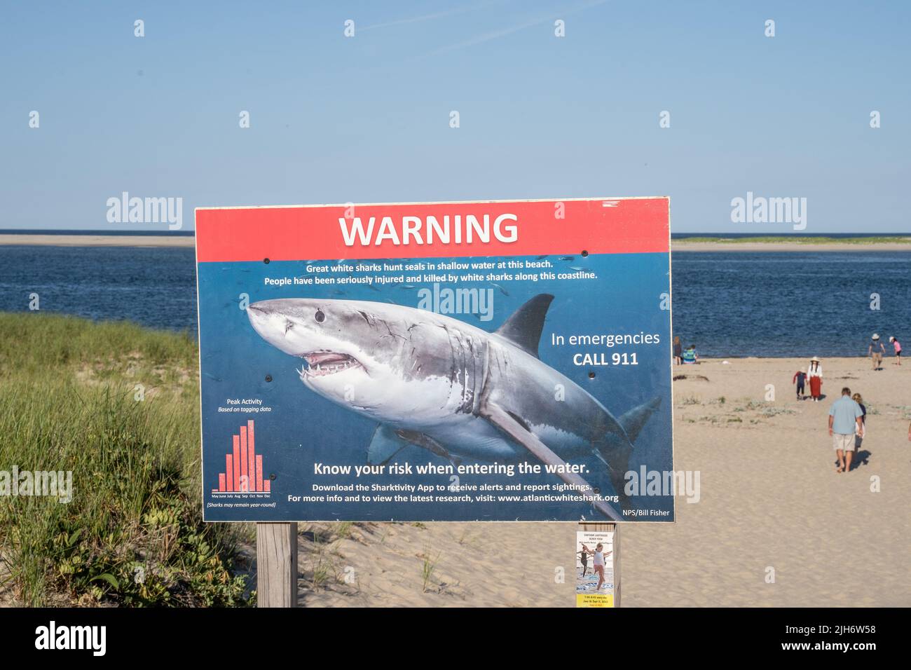Chatham, Massachusetts, 9. Juli 2022: Ein Warnschild für den Great White Shark am Chatham Lighthouse Beach, der ein Strand ist, der auf eigene Gefahr schwimmt Stockfoto