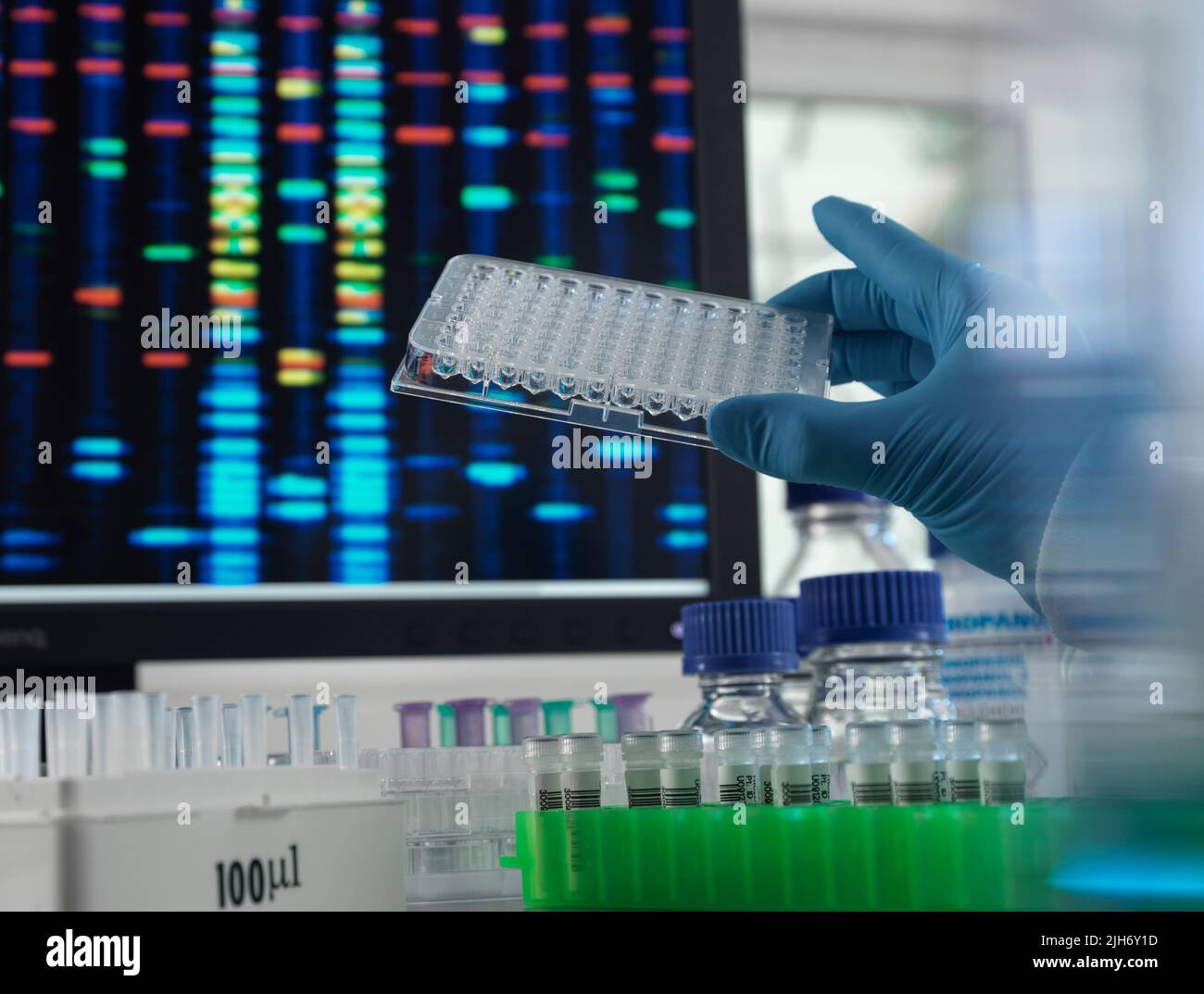 DNA-Analyse Stockfoto