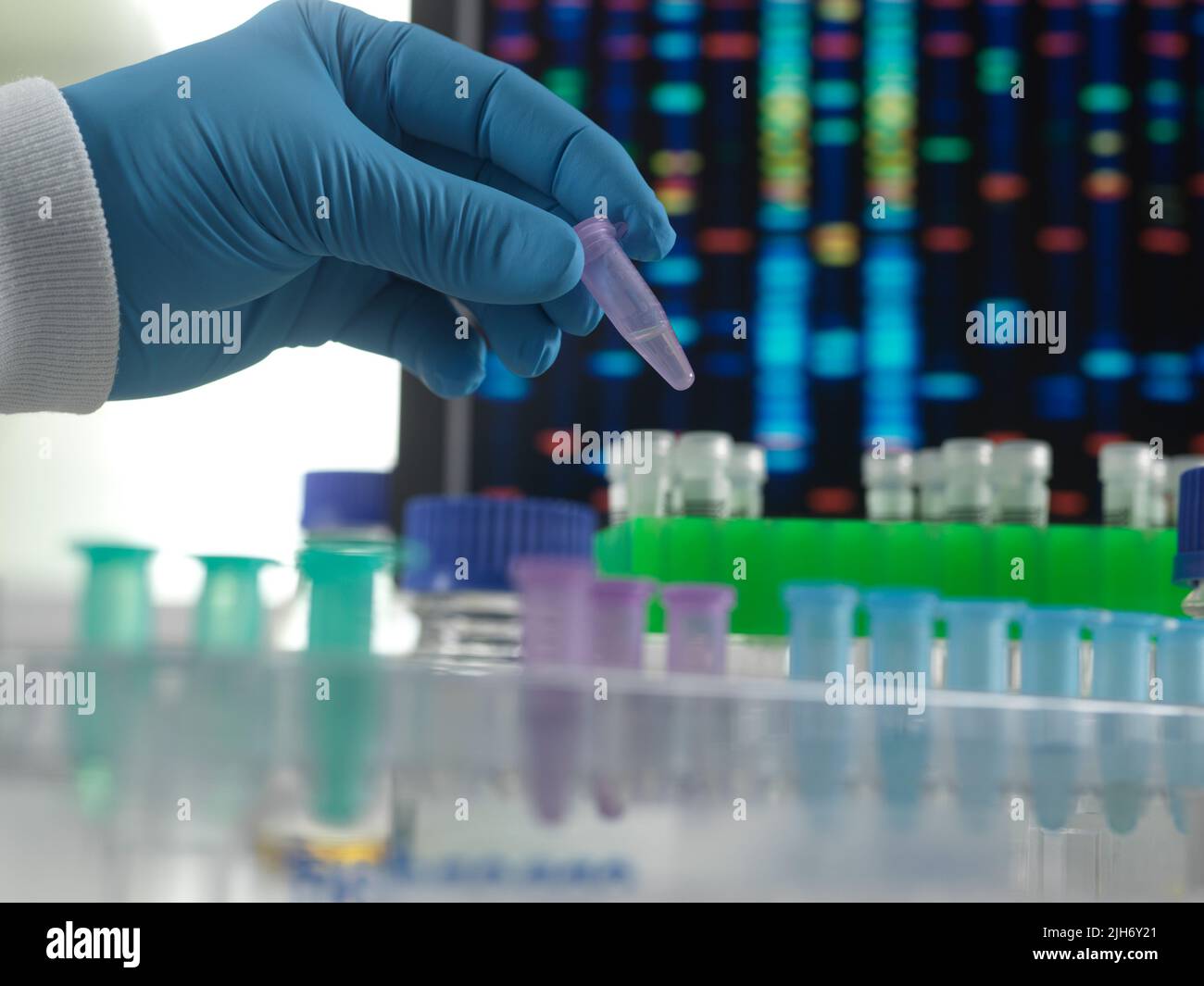 DNA-Analyse Stockfoto