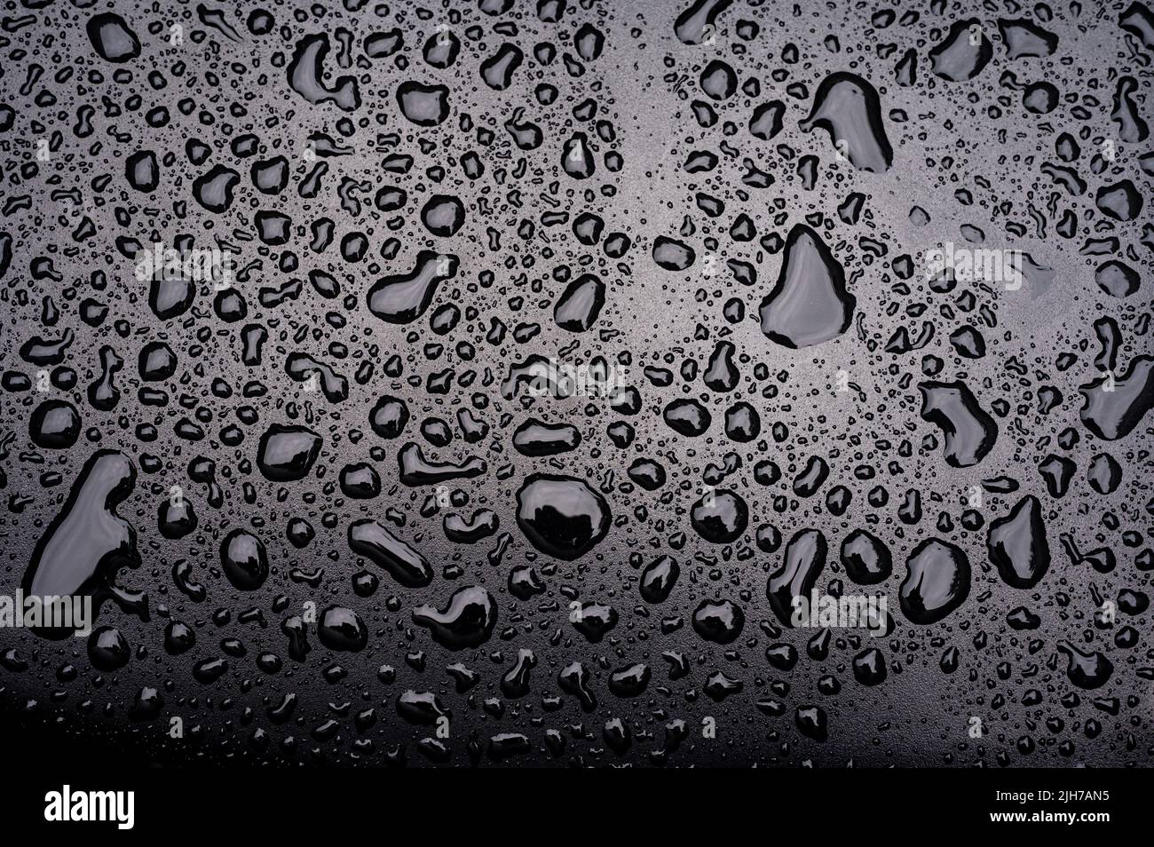 Tropfen auf Glas. Abstrakte Hintergründe. Texturierter Effekt Hintergrund Tapete Hintergrund, schwarz und weiß Regentropfen Wetter. Speicherplatz kopieren. Stockfoto