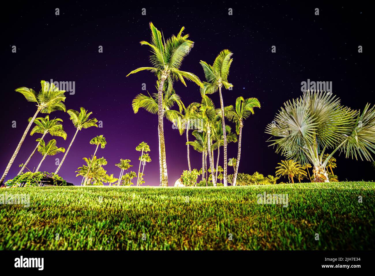 Nachtfoto der Insel mit hohen Palmen über dem sternenübersäten Himmel und Nahaufnahme des mit grünem Gras bedeckten Bodens. Stockfoto