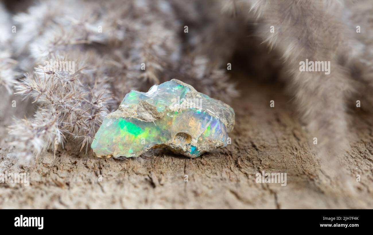 Glänzend bunten Felsbrocken Opal Stein auf Holz Hintergrund. Grobe, unbearbeitete gemologische Probe von Opalstein Stockfoto