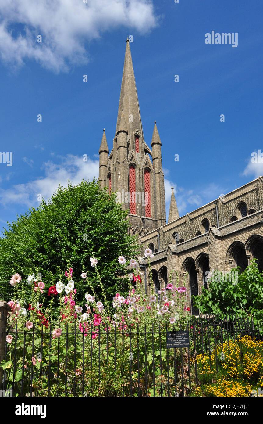 Church of St John the Evangelist in St John's Street, (von der Church Row Seite aus gesehen), Bury St Edmunds, Suffolk, England, Großbritannien Stockfoto