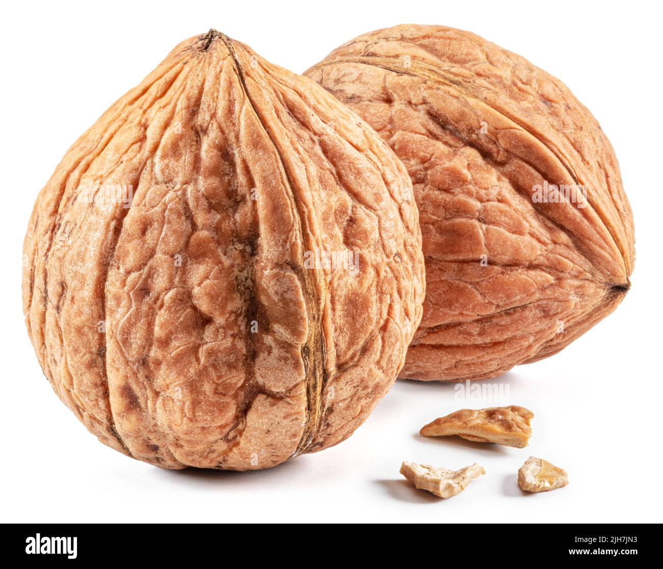 Zwei ganze Walnüsse isoliert auf weißem Hintergrund. Stockfoto