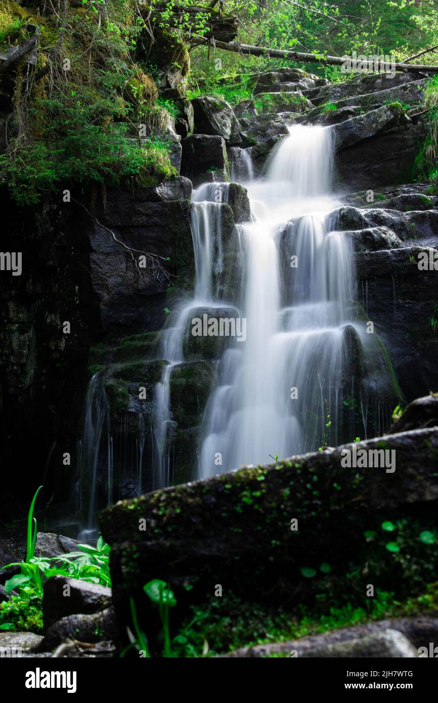 Vertikale Langzeitaufnahme eines Wasserfalls in einem Wald. Stockfoto