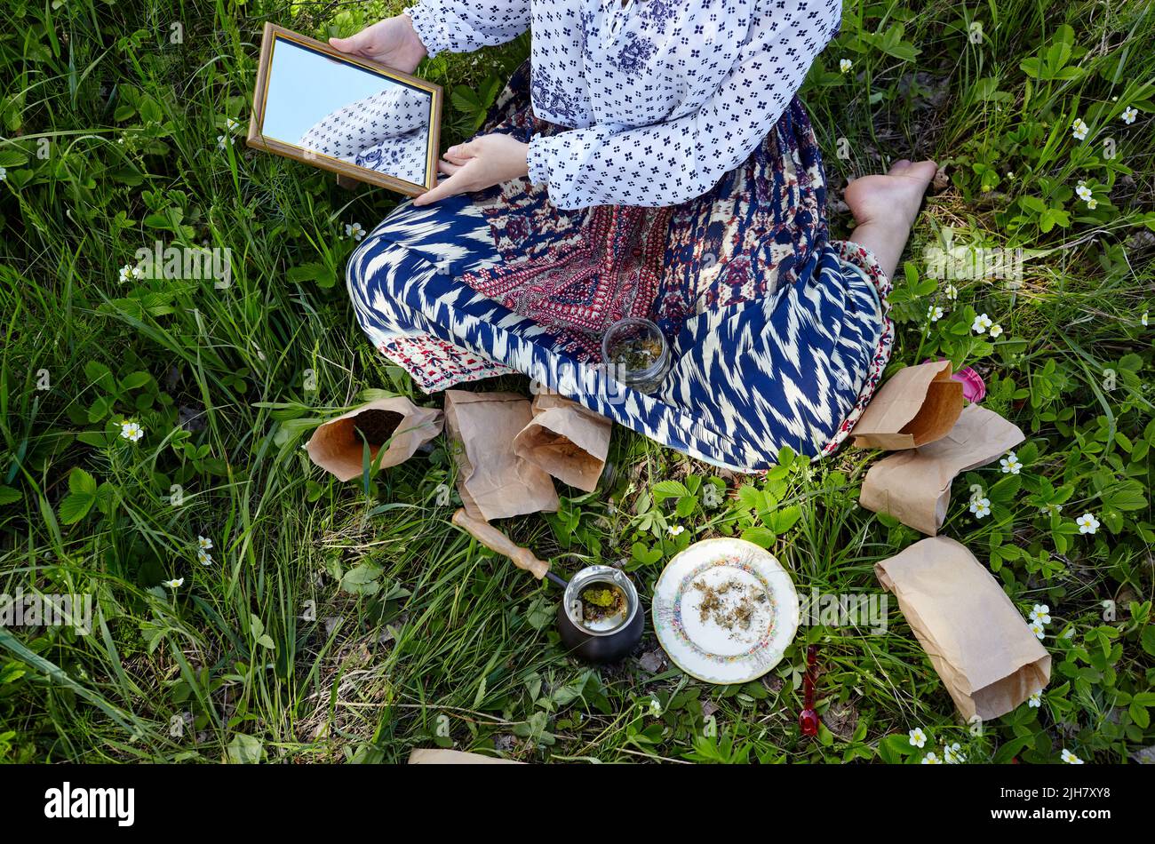 Die Frau sammelt Heilkräuter auf der grünen Wiese. Frische grüne Kräuter ernten. Alternative Kräutermedizin. Sammlung von Heilkräutern Stockfoto
