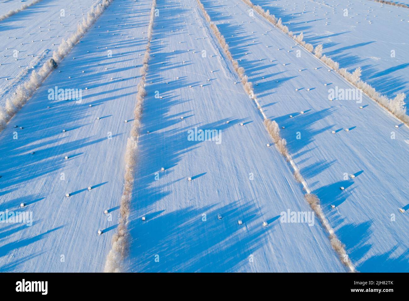 Gefrorene ländliche Landschaft mit Heuballen an einem kalten und sonnigen Wintertag in Estland, Nordeuropa. Stockfoto