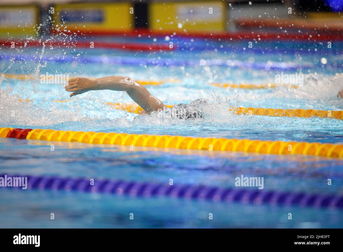 Artikeldetails mit einer professionellen Sportlerin, die in einem olympischen Schwimmbad schwimmend ist. Stockfoto