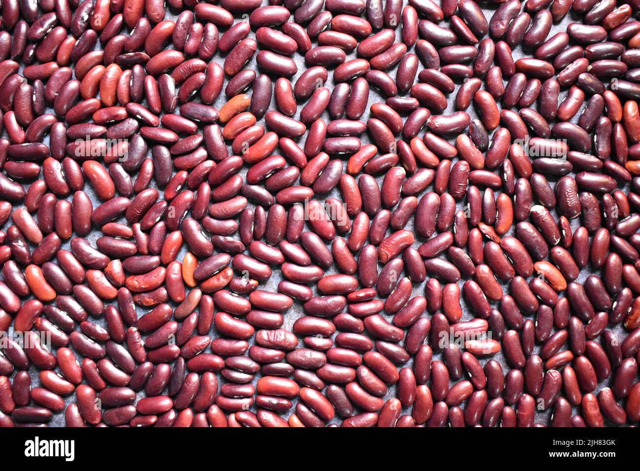Rohe, ganze getrocknete rote Nierenbohnen Stockfoto