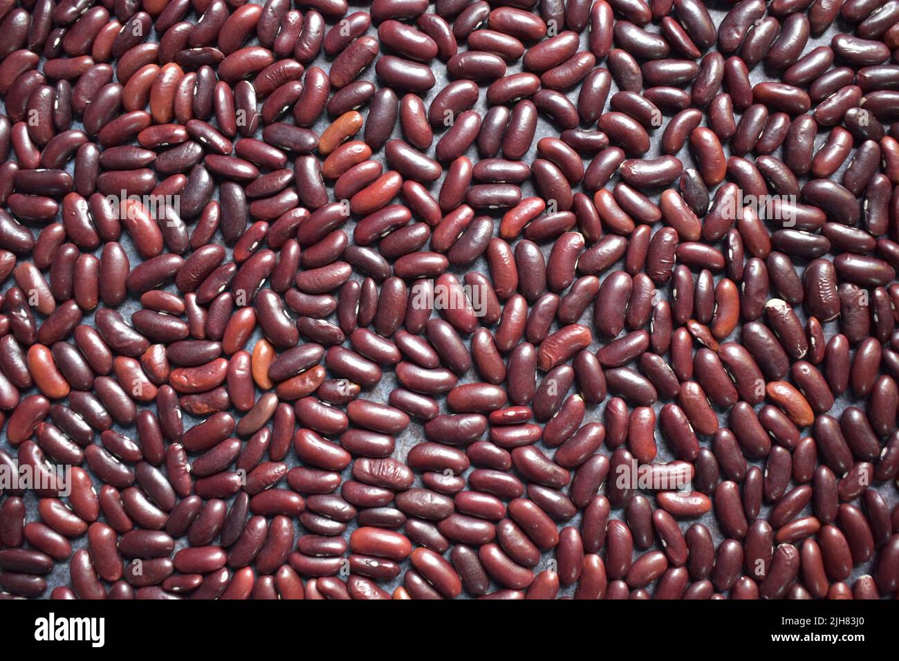 Rohe, ganze getrocknete rote Nierenbohnen Stockfoto