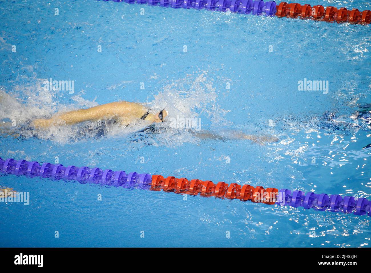 Artikeldetails mit einer professionellen Sportlerin, die in einem olympischen Schwimmbad schwimmend ist. Stockfoto