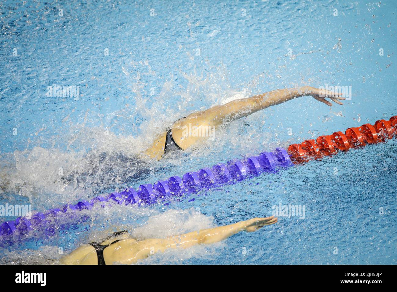 Artikeldetails mit einer professionellen Sportlerin, die in einem olympischen Schwimmbad schwimmend ist. Stockfoto