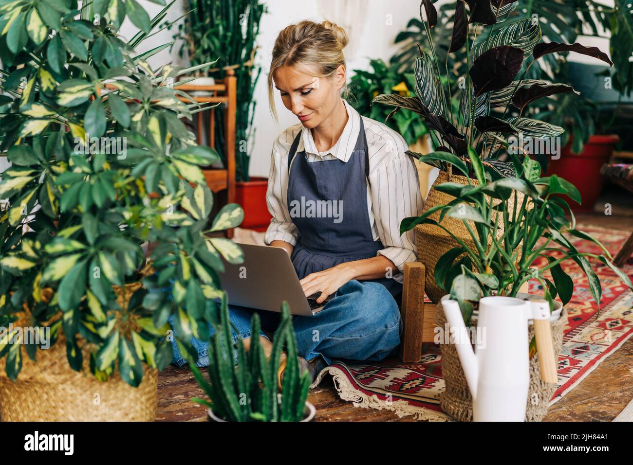 Eine Unternehmerin in einem Gewächshaus sitzt auf dem Boden und arbeitet an einem Laptop Stockfoto