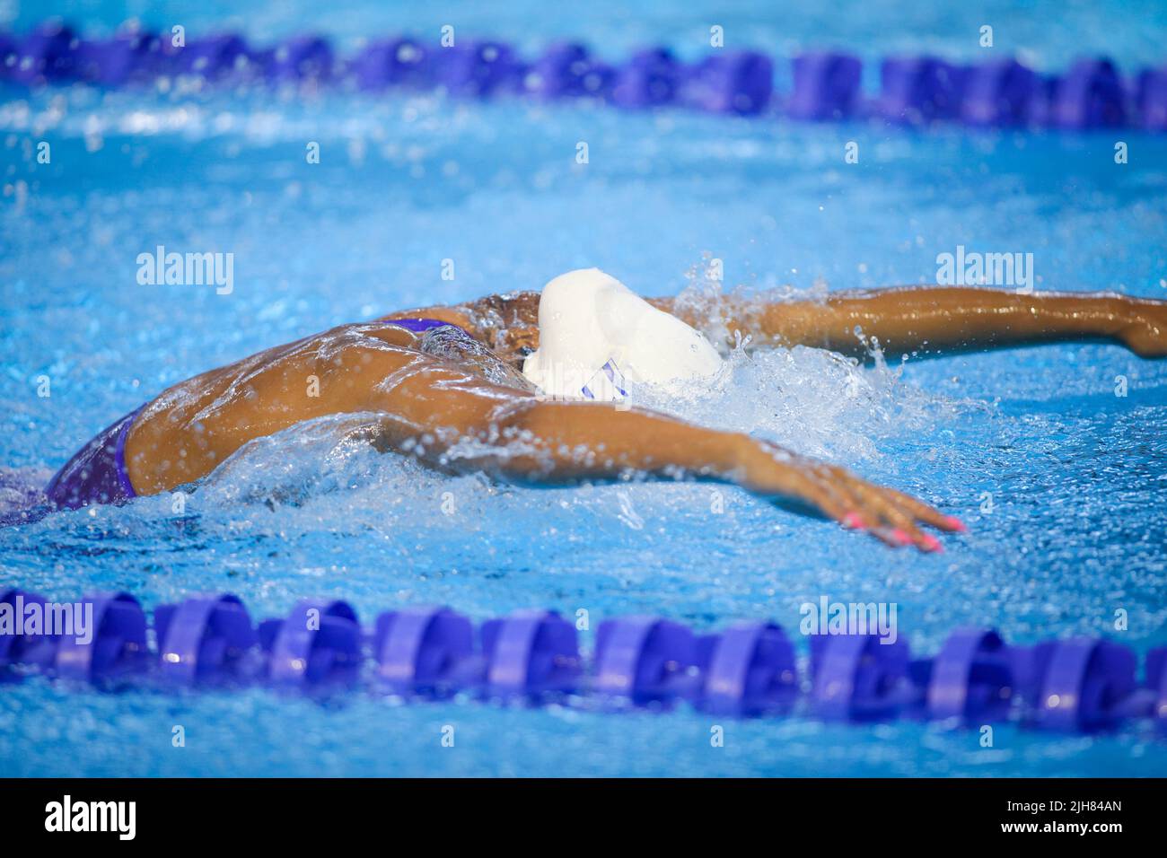 Otopeni, Rumänien - 8. Juli 2022: Details mit einer israelischen Profisportlerin, die in einem olympischen Schwimmbad im Schmetterlingsstil schwimmend ist. Stockfoto