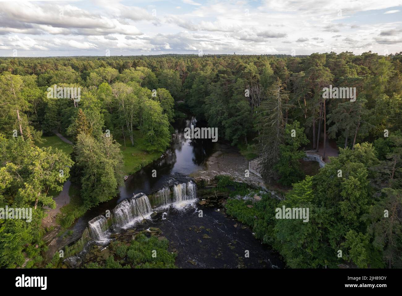 Ein Waldwasserfall in Estland Stockfoto