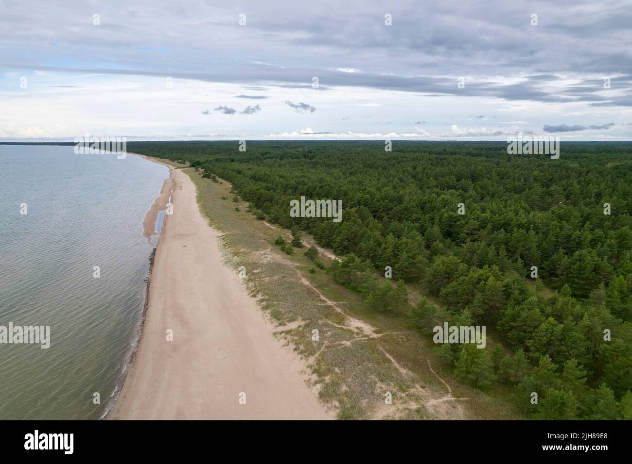 Ostseeküste von oben in Estland Stockfoto