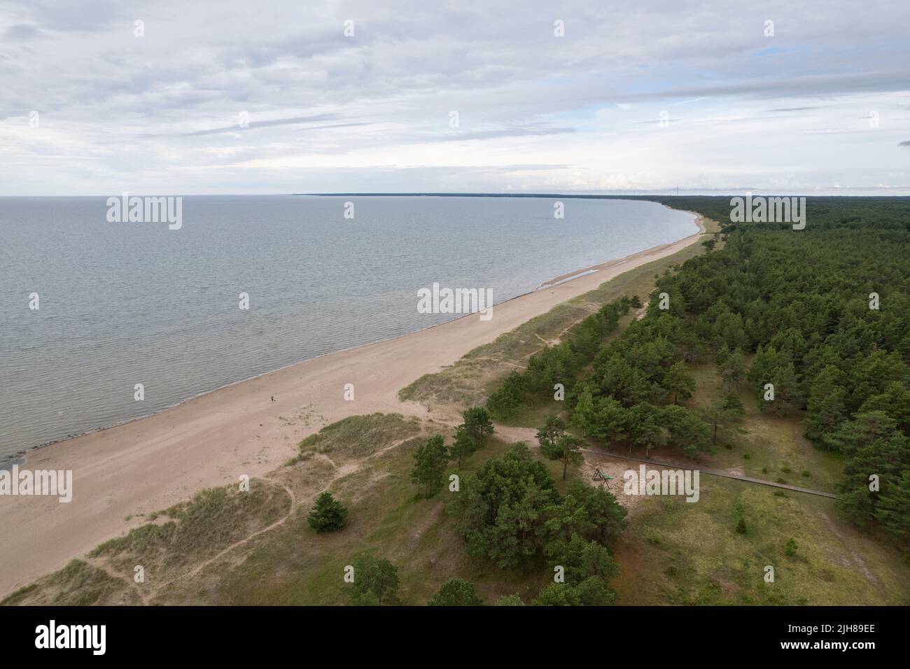 Ostseeküste von oben in Estland Stockfoto
