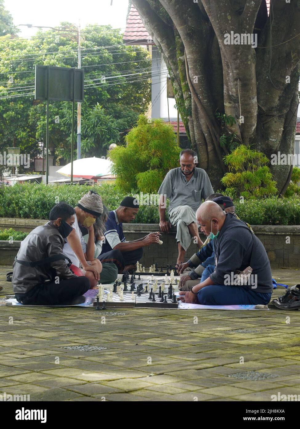 Einige Leute sehen ernsthaft aus, Schach im Park zu spielen. Stockfoto