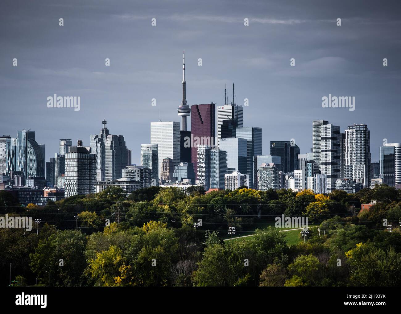 Die Skyline der Stadt Toronto von der äußersten Ostseite des Riverdale Parks. Stockfoto
