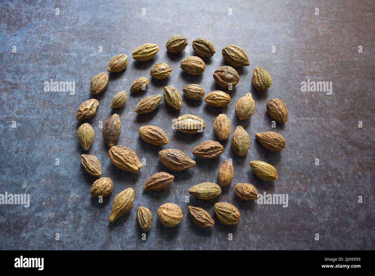 Rohe ganze getrocknete Terminalia-Chebula-Frucht Stockfoto