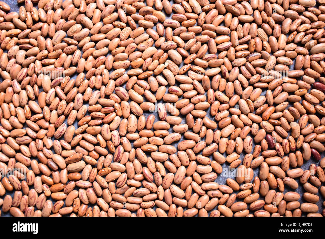 Rohe, ganze getrocknete, gesprenkelte Kidney Beans Stockfoto