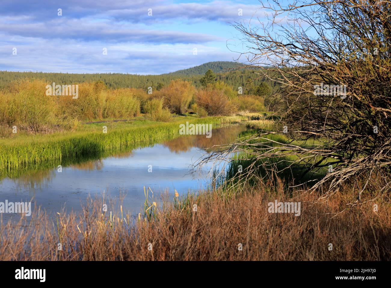 Ein Blick auf den See und die Natur in Sunriver, Oregon Stockfoto
