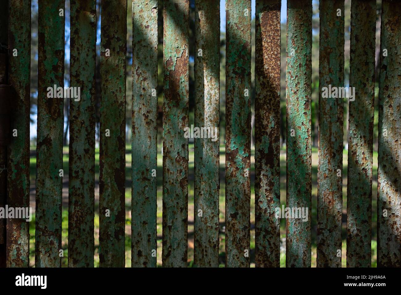 Grüner Zaun aus rostigem Metall. Hintergrund und Copyspace. Stockfoto