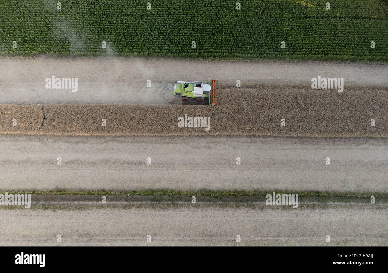 Frille, Deutschland. 16.. Juli 2022. Ein Getreidefeld wird mit einem Mähdrescher geerntet (Luftaufnahme mit einer Drohne). Infolge des Krieges in der Ukraine sind die Getreidepreise weltweit stark gestiegen. Quelle: Boris Roessler/dpa/Alamy Live News Stockfoto