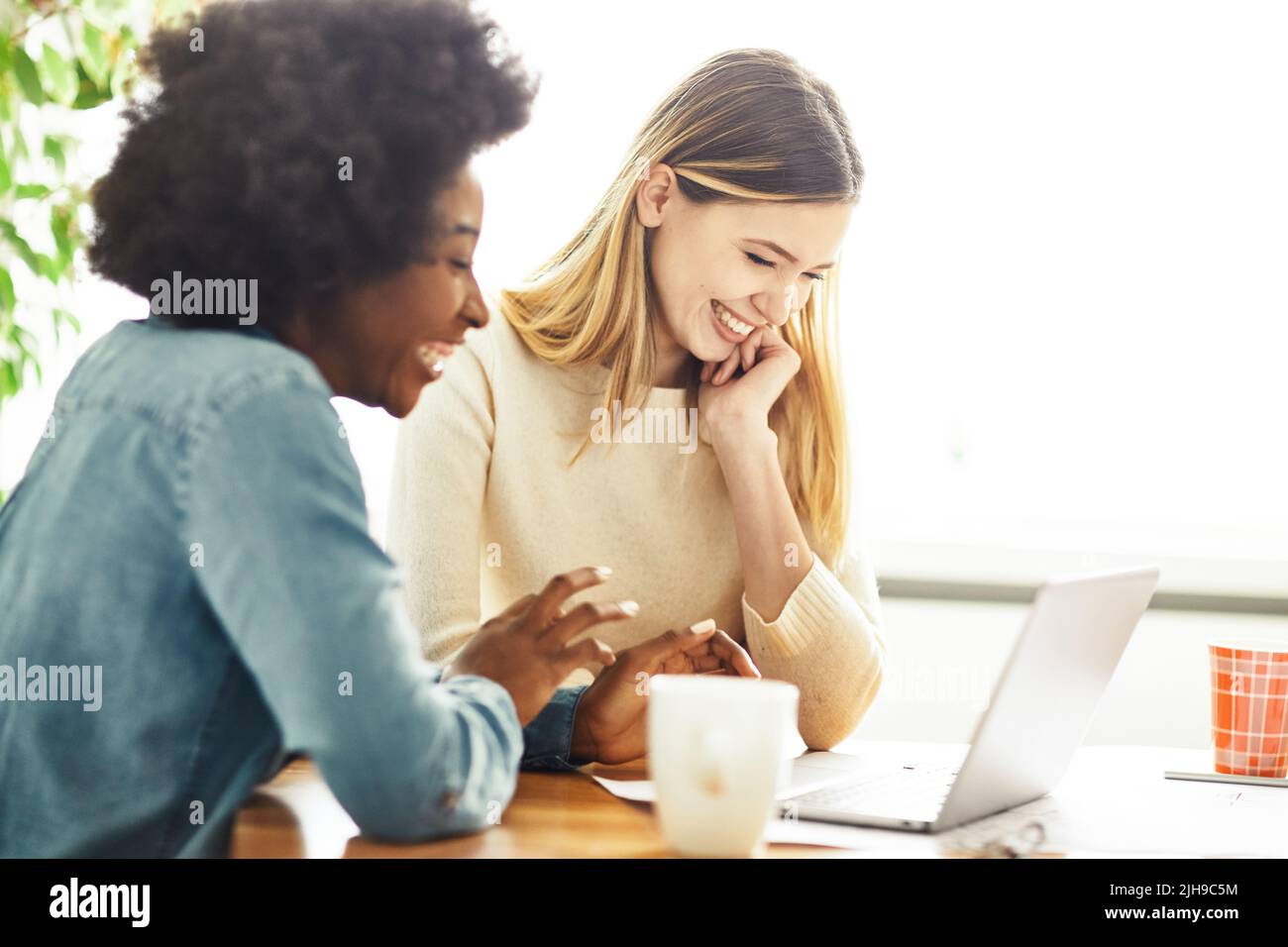 Laptop Frau Mädchen Computer Freund glücklich Technologie junge Arbeit Geschäft Büro Startup Freundschaft weibliche Studentin Stockfoto