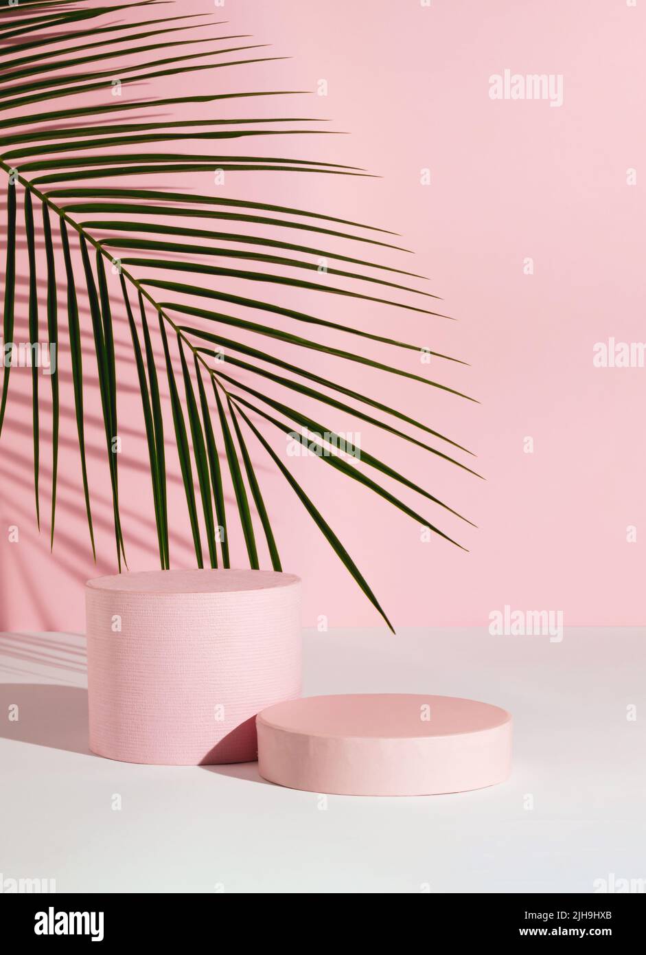 Pastellrosa Komposition mit Produktpodium und grünem Palmenblatt. Geeignet für Produktanzeige und Geschäftskonzept. Moderne Ästhetik. Stockfoto