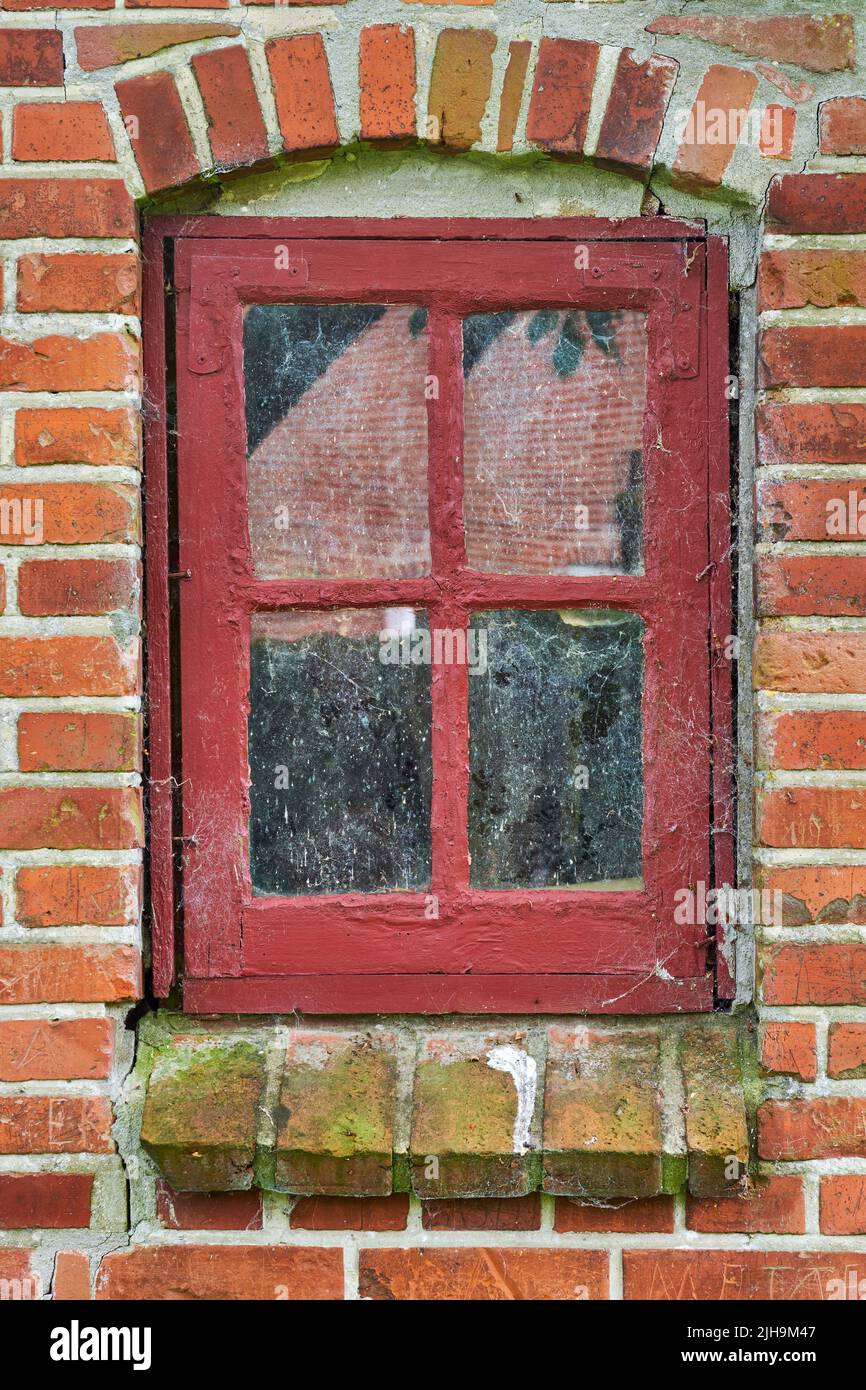 Nahaufnahme von verlassenen roten Fenstern, die mit Spinnweben, Algen und Moos aus Vernachlässigung, Armut und Wirtschaftskrise bedeckt sind. Leeres, altes Wohnhaus oder Stockfoto