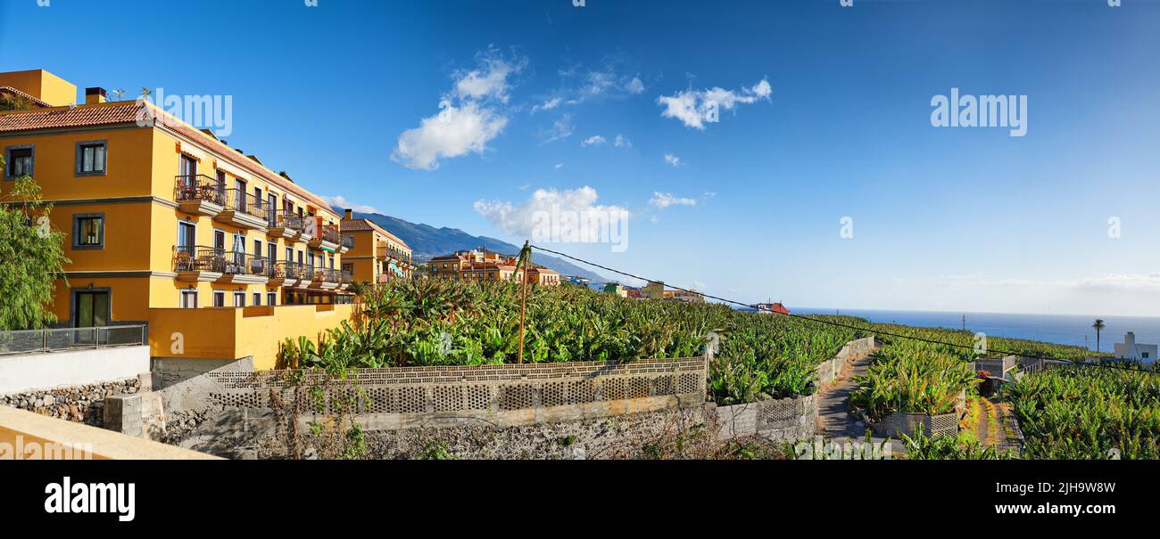 Ansicht von Wohnhäusern und Wohnungen in der historischen und tropischen Stadt in Los Llanos, La Palma, Kanarische Inseln mit blauem Himmel Hintergrund. Lebhaft Stockfoto