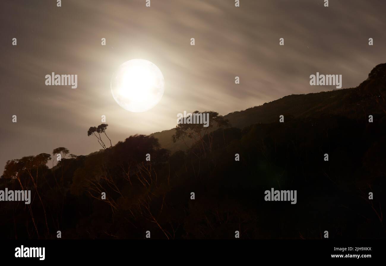 Silhouette einer seltsamen Landschaft in der Nacht mit einem strahlend leuchtenden Vollmond in Südafrika. Geheimnisvolle dunkle Naturszene eines abgelegenen Ortes in der Stockfoto