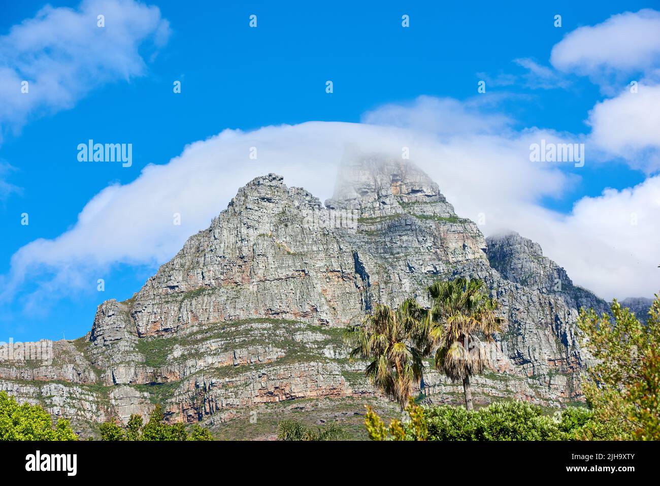 Lions Head Mountain mit wolkig blauem Himmel Kopieplatz. Wunderschöne Aussicht auf einen felsigen Berggipfel, der von viel üppiger grüner Vegetation bedeckt ist Stockfoto