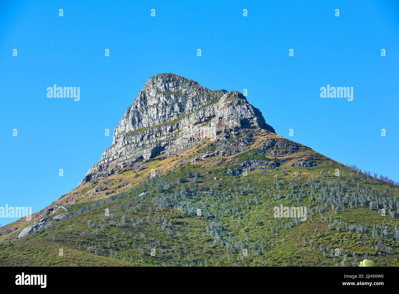 Lions Kopf Berg mit einem blauen Himmel und Kopierraum. Wunderschöne Aussicht auf einen felsigen Berggipfel, der von viel üppiger grüner Vegetation bedeckt ist Stockfoto