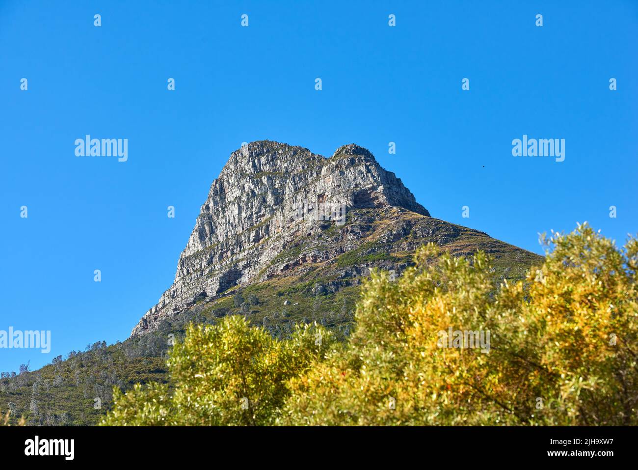 Berglandschaft auf einem blauen Himmel mit Kopierraum. Felsformationen an einem schönen sonnigen Tag. Lions Head Berge Gipfel mit grünen Bäumen und Sträuchern, a Stockfoto
